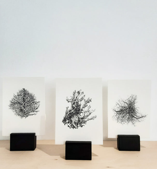 Moss & Lichen Print with Stand