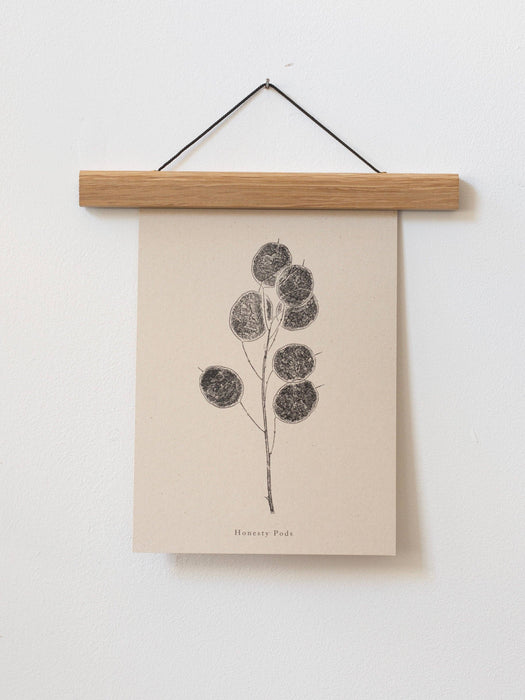 Botanical Art Print - Honesty Pod: A4