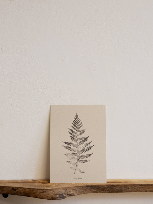 Fern Print - A5 Print