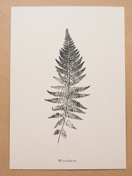 Woodfern: A5 Print
