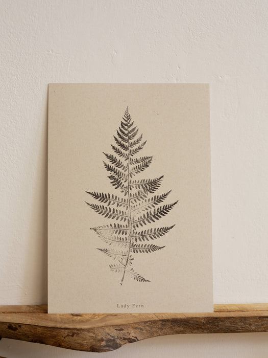 Fern Print - A5 Print