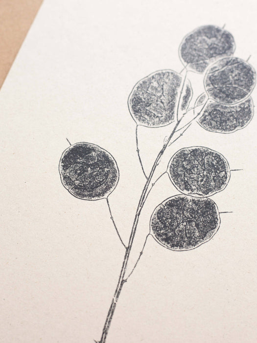 Botanical Art Print - Honesty Pod: A4