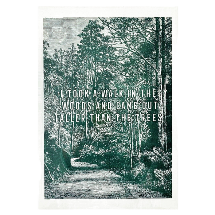 Walk in the Wood Risograph Print. A3
