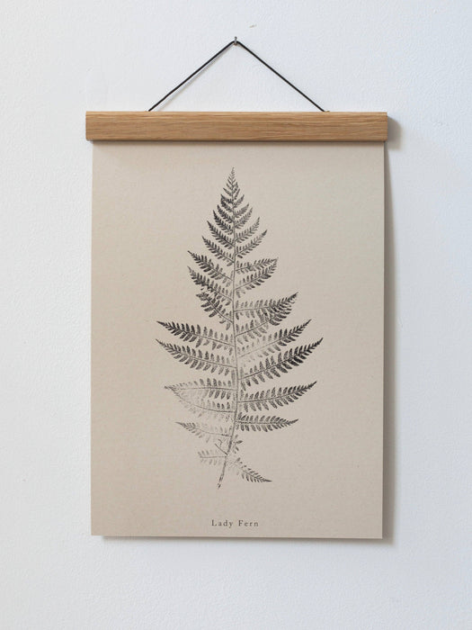 Fern Print - Botanical Art Print A4