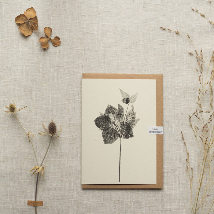 Hellebore Flower Greeting Card A6 Recycled Card 
