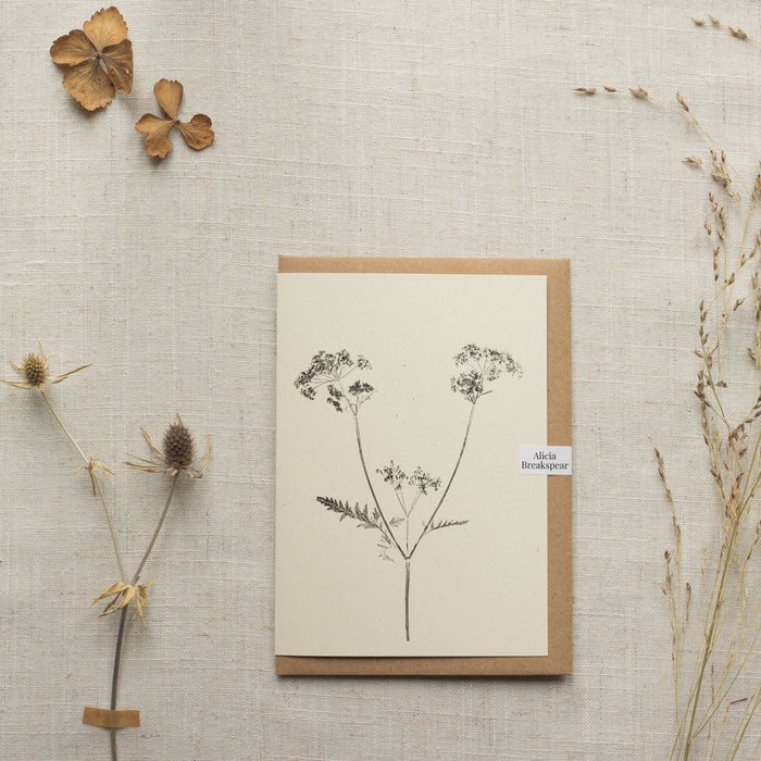 Cow Parsley Card