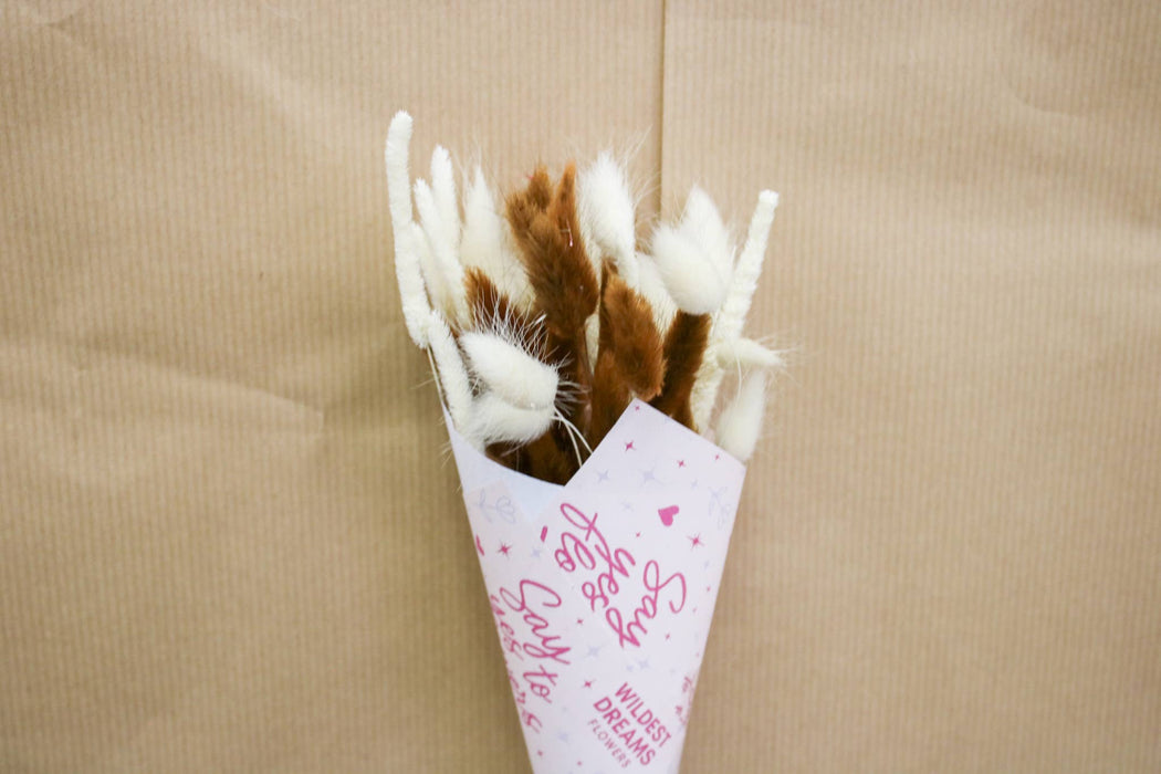 White & Chocolate Brown Bunny Tail Mix | Dried Floral Boho