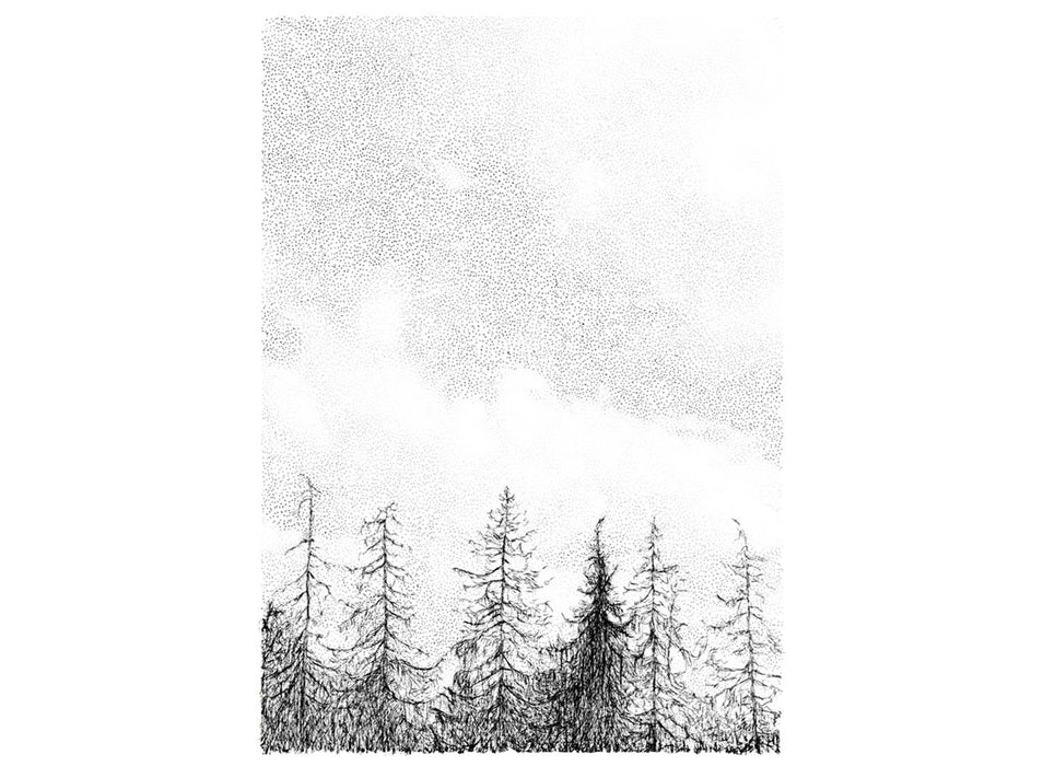 Pine Tree Forest Print A3