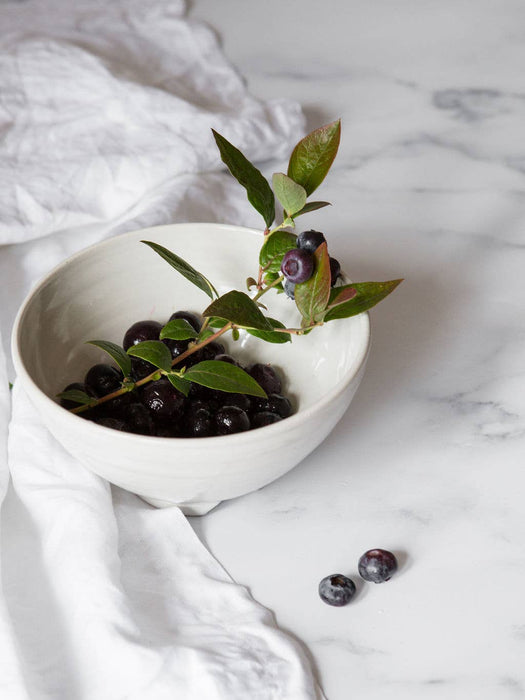 Berry Bowl: Speckle