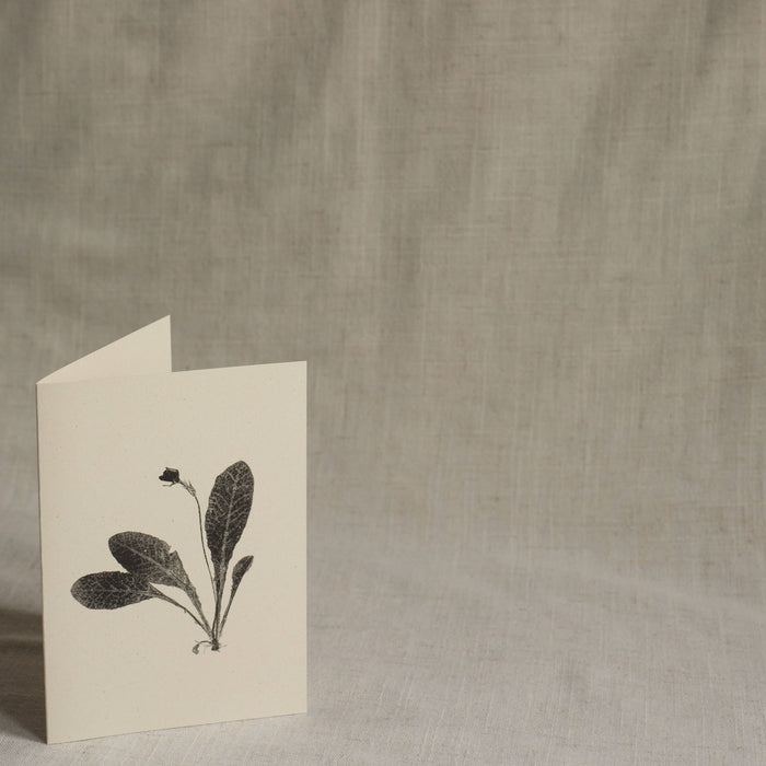 Primrose Flower Greeting Card A6 Recycled Card 
