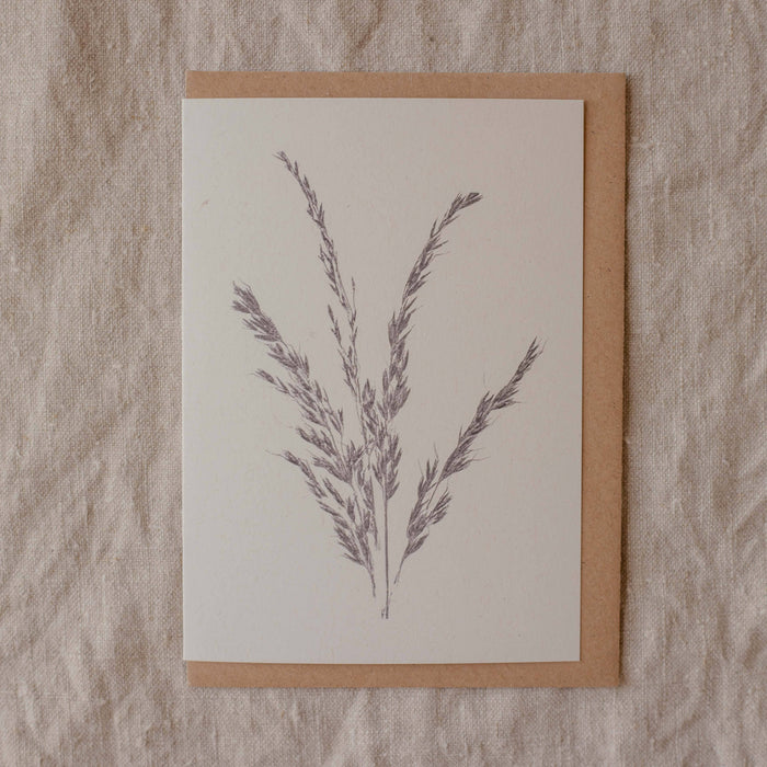 Grasses Botanical Print Greeting Card A6 Recycled 