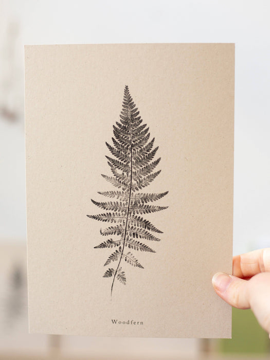 Woodfern: A5 Print