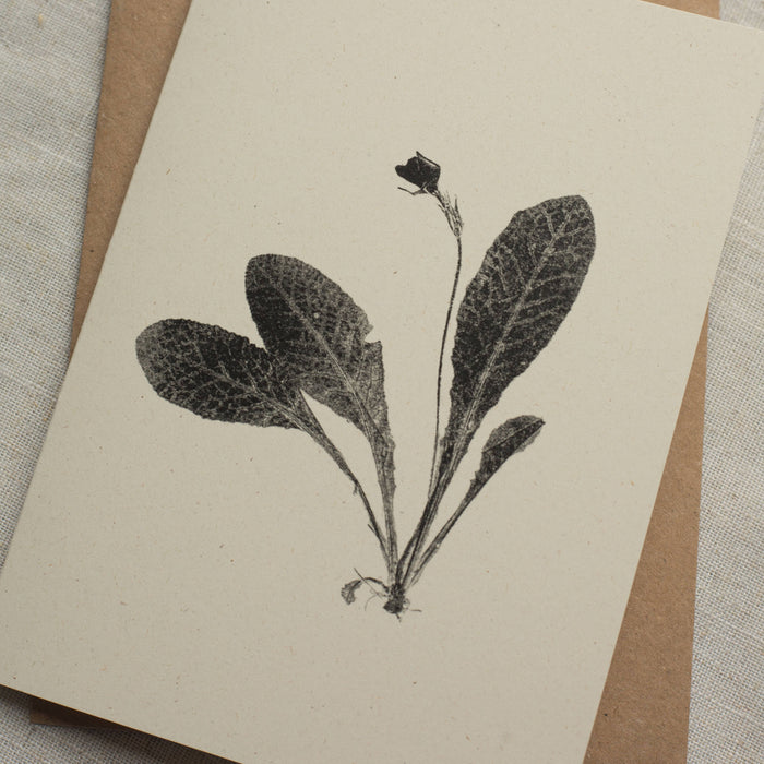 Primrose Flower Greeting Card A6 Recycled Card 