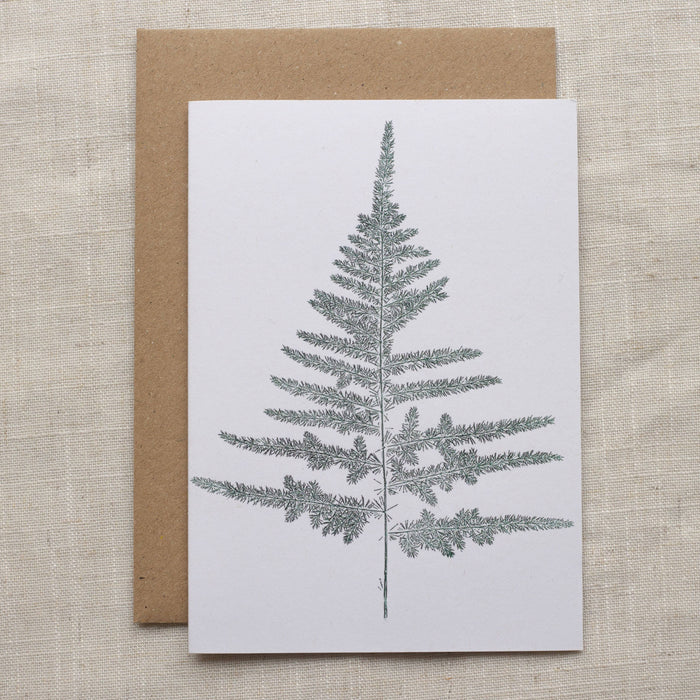 Botanical Fern - Recycled Card 