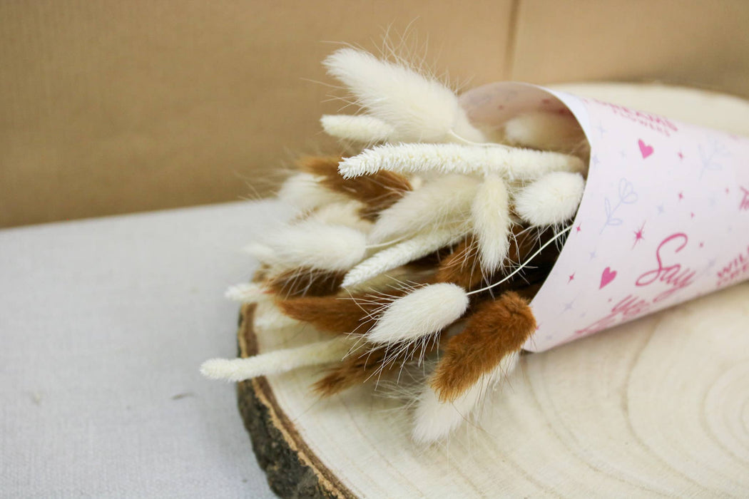 White & Chocolate Brown Bunny Tail Mix | Dried Floral Boho