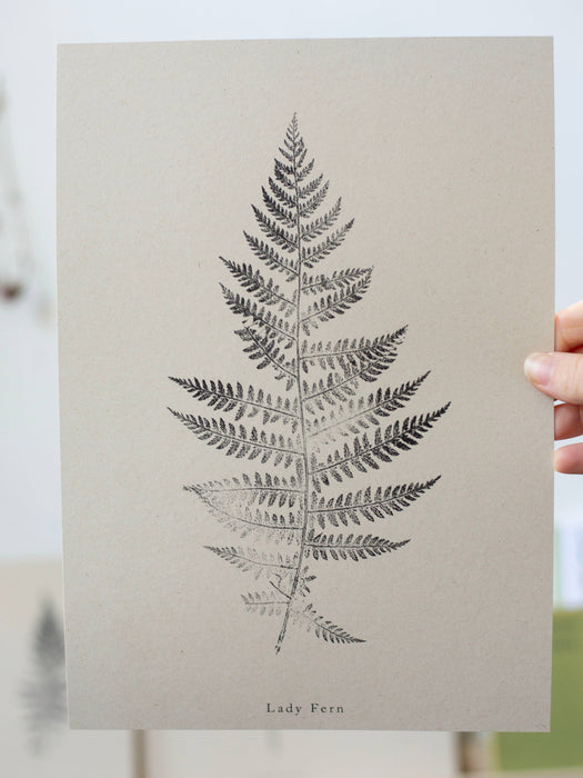 Fern Print - Botanical Art Print A4