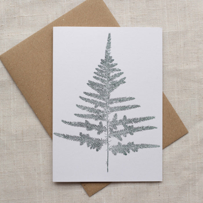 Botanical Fern - Recycled Card 