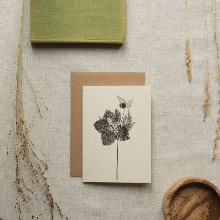 Hellebore Flower Greeting Card A6 Recycled Card 