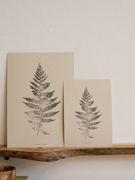 Fern Print - A5 Print