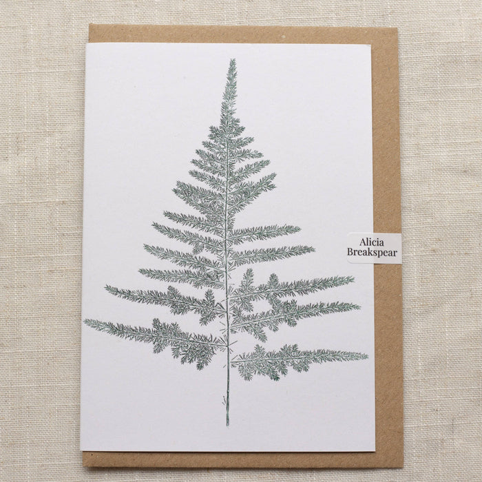 Botanical Fern - Recycled Card 