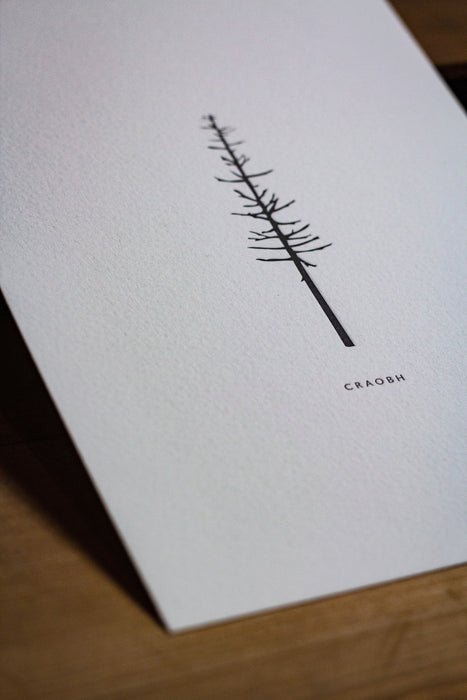 Craobh Letterpress Print