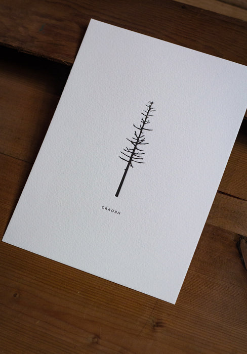 Craobh Letterpress Print