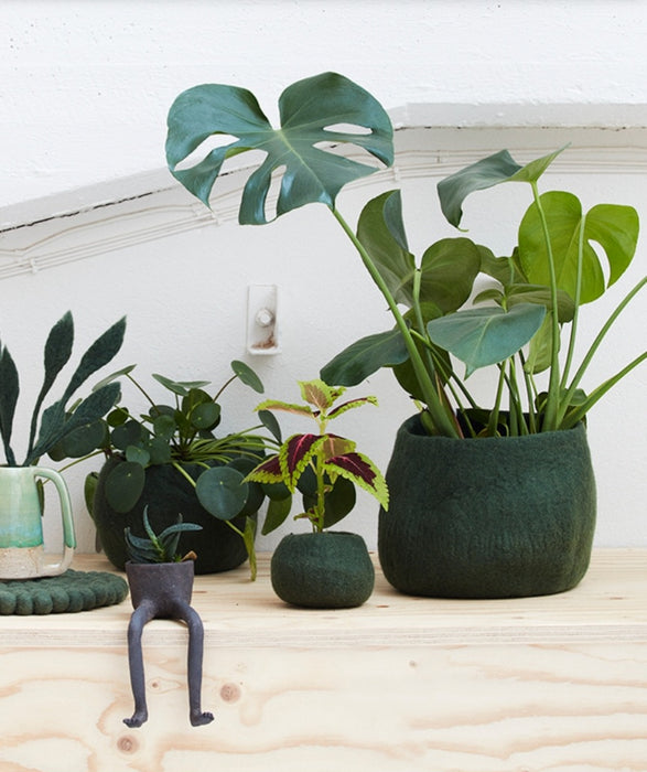 Wool Plant Pot - Moss Green Small