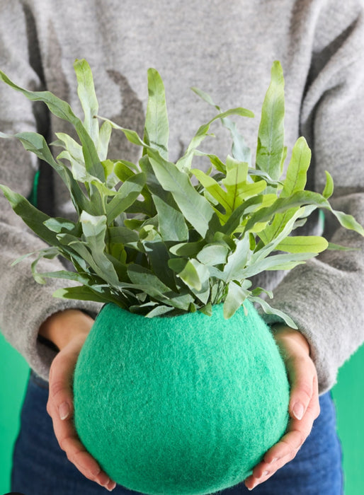 Wool Plant Pot - Bright Green Large
