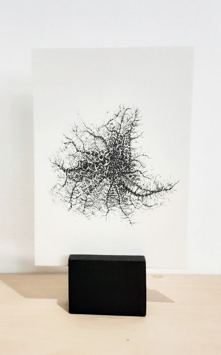 Moss & Lichen Print with Stand