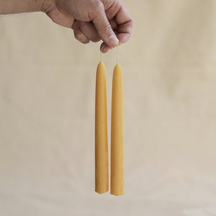 Five Bees Beeswax Taper Dinner Candle