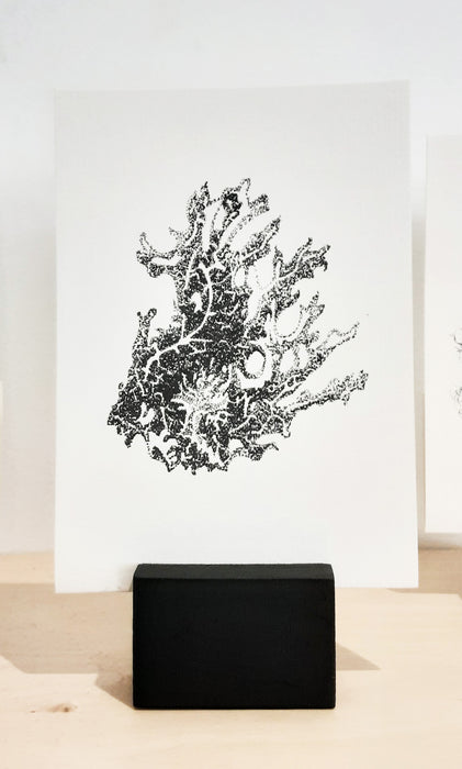 Moss & Lichen Print with Stand