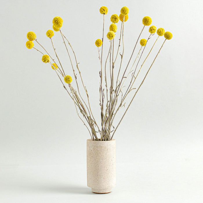 Jesmonite Pot/Vase - Natural