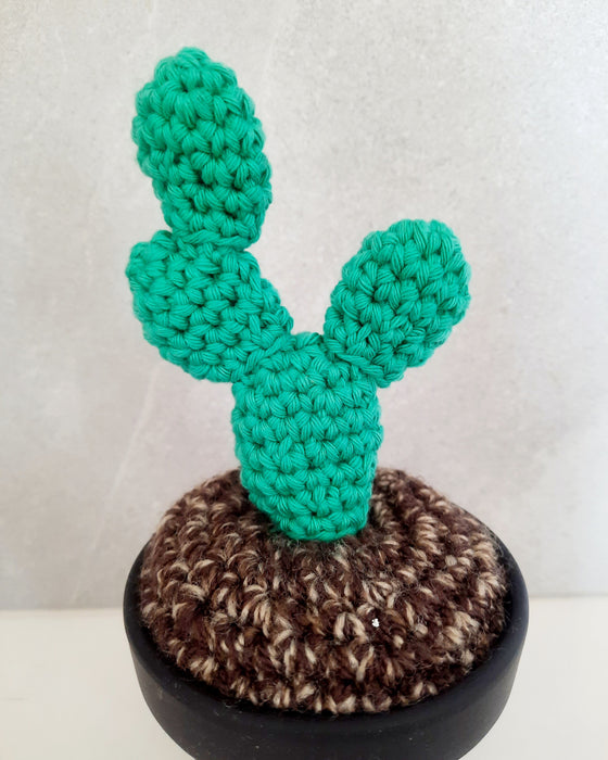 Medium Crochet Cactus - Green